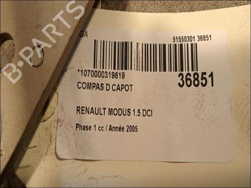 Used Hinge/Door check strap RENAULT MODUS / GRAND MODUS (F/JP0_) 1.5 dCi (FP0D, JP0D) (82 hp) 14878920