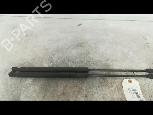 Used Tailgate lift support PEUGEOT 207 (WA_, WC_) 1.6 HDi (90 hp) 14879702