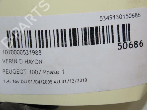 Tailgate lift support PEUGEOT 1007 (KM_) 1.4 16V | BP18415168C138