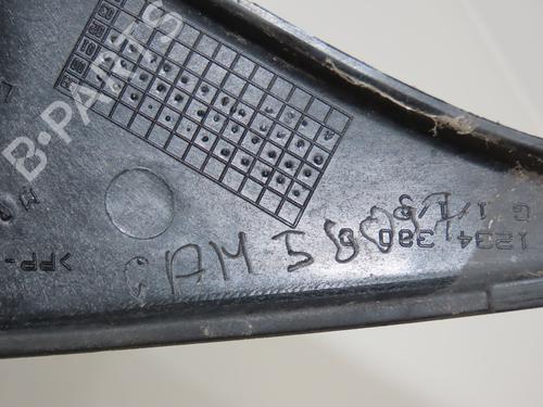 Used Left mirror RENAULT CLIO II (BB_, CB_) 1.2 (BB0A, BB0F, BB10, BB1K, BB28, BB2D, BB2H, CB0A,... (58 hp) 30955834