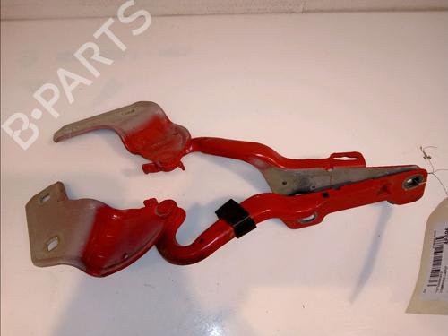 Hinge/Door check strap RENAULT CLIO III (BR0/1, CR0/1) 1.2 16V (BR02, BR0J, BR11, CR02, CR0J, CR11) | BP14878999C146 