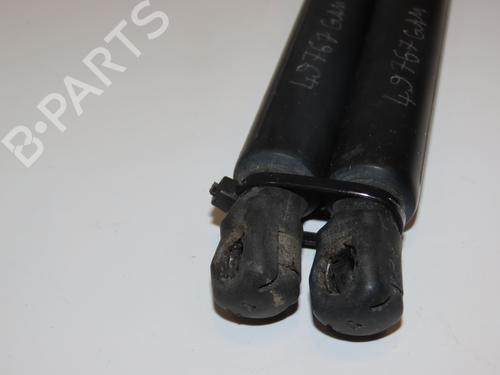 Tailgate lift support FORD S-MAX (WA6) 2.0 TDCi | BP29441812C138 