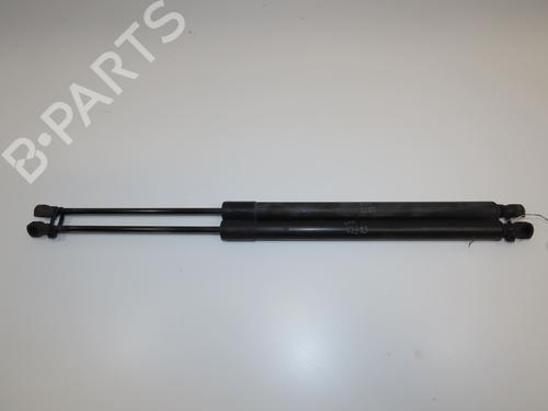 tailgate-lift-support-renault-scenic-iii-jz01_-2008-2009-2010-2011-2012-2013-2014-2015-2016-28802201 main image