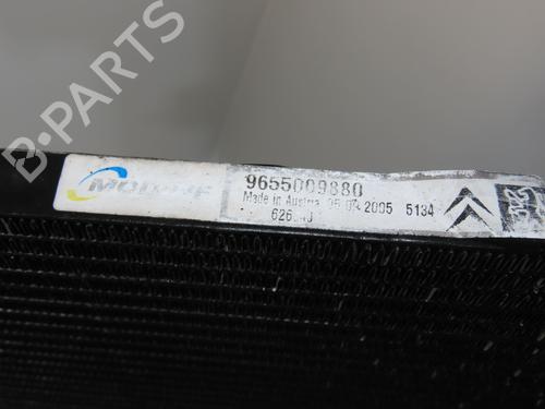 Heater matrix PEUGEOT 1007 (KM_) 1.6 16V | BP30893419M63