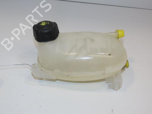Ekspansjonstank Ekspansjonstank RENAULT CLIO V (B7_) 1.0 SCe 65 (B7MG) (67 hp) 29379881 29379881