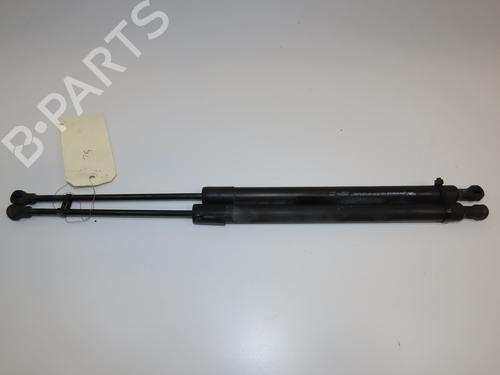 Tailgate lift support RENAULT SCÉNIC III (JZ0/1_) 1.5 dCi | BP28832289C138 