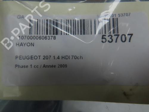 Used Tailgate PEUGEOT 207 (WA_, WC_) 1.4 HDi (68 hp) 28832185