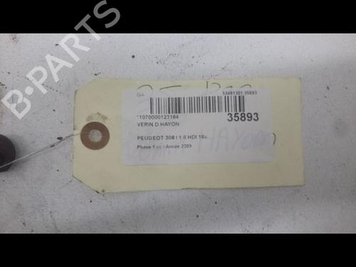 Tailgate lift support PEUGEOT 308 I (4A_, 4C_) 1.6 HDi | BP14879653C138 