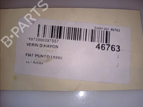 Tailgate lift support FIAT PUNTO (176_) 55 1.1 | BP14880230C138 