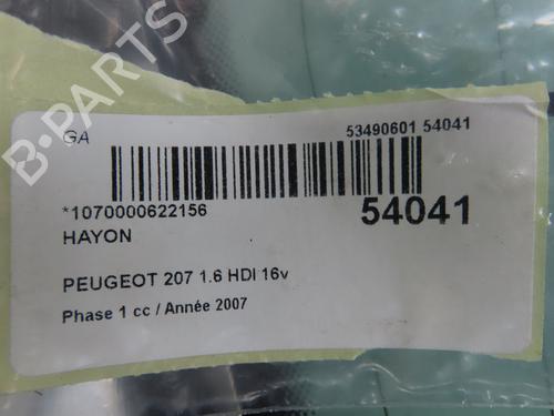 Used Tailgate PEUGEOT 207 (WA_, WC_) 1.6 HDi (90 hp) 28614643