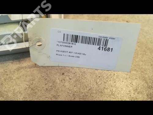 Interior roof light PEUGEOT 407 (6D_) 1.6 HDi 110 (6D9HZC, 6D9HYC) | BP9614219I8 