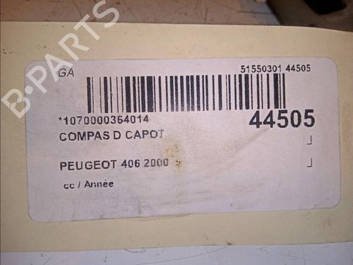 Used Hinge/Door check strap PEUGEOT 406 (8B) 2.0 HDI 110 (109 hp) 23175437