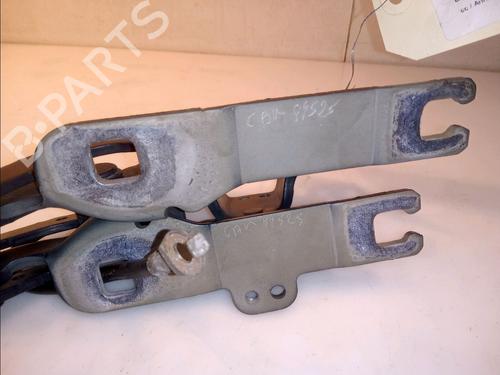 Hinge/Door check strap BMW 3 Touring (E91) 318 d | BP14878982C146 