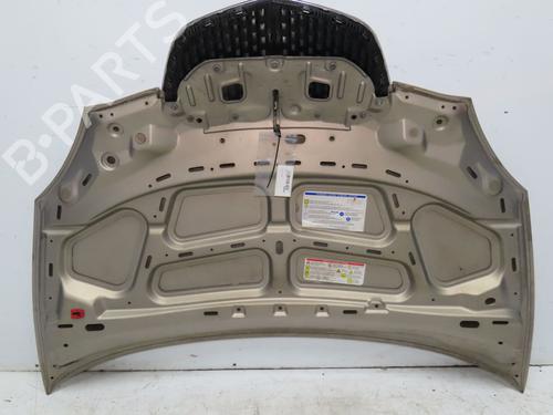 Hood LANCIA YPSILON (843_) 1.4 (843.AXG1A) | BP28968368C1 