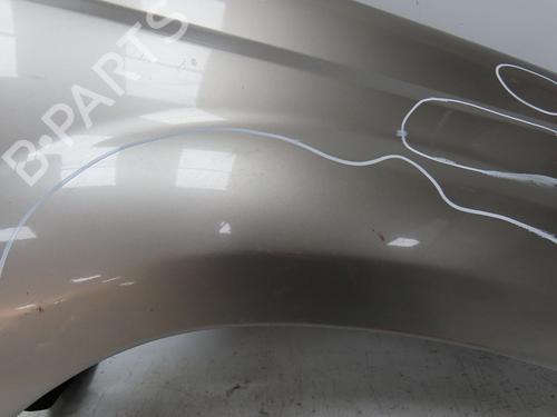 Right front fenders NISSAN X-TRAIL I (T30) 2.2 dCi 4x4 | BP23125012C42 