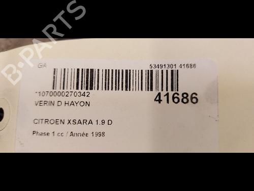Tailgate lift support CITROËN XSARA Coupe (N0) 1.9 D | BP14880005C138 