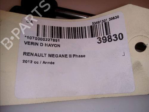 Tailgate lift support RENAULT MEGANE III Coupe (DZ0/1_) 1.4 TCe (DZ0F, DZ1V) | BP14879899C138 