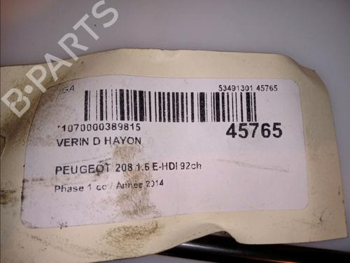 Tailgate lift support PEUGEOT 208 I (CA_, CC_) 1.6 HDi | BP14880191C138 