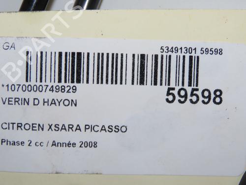 Gasdæmper bagklap Gasdæmper bagklap CITROËN XSARA PICASSO (N68) 1.6 HDi (109 hp) 37252392 37252392