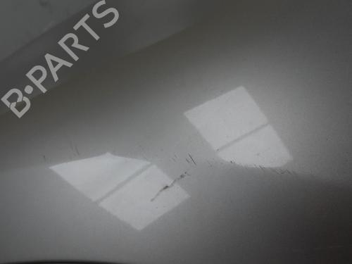 Left front fenders RENAULT SCÉNIC III (JZ0/1_) 1.5 dCi | BP28801868C41