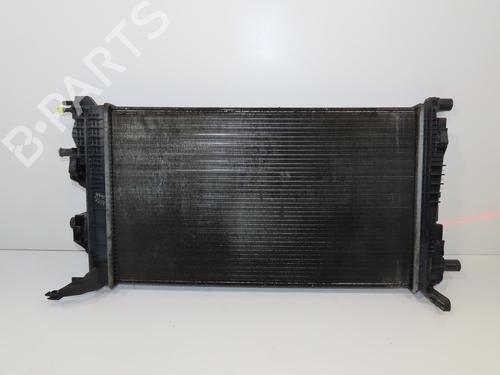 Køler RENAULT SCÉNIC III (JZ0/1_) 1.5 dCi (110 hp) 29318727