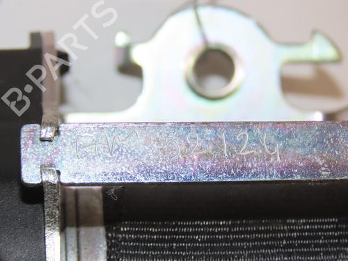 Front left belt tensioner RENAULT SCÉNIC III (JZ0/1_) 1.6 dCi (JZ00, JZ12) | BP28830795C87 