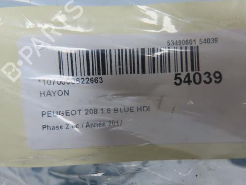 Used Tailgate PEUGEOT 208 I (CA_, CC_) 1.6 HDi / BlueHDi 75 (75 hp) 28832190