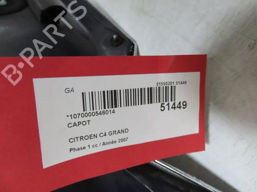 Hood CITROËN C4 Grand Picasso I (UA_) 1.6 HDi | BP28968376C1