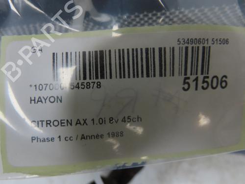 Tailgate CITROËN AX (ZA-_) 10 | BP28832149C6 