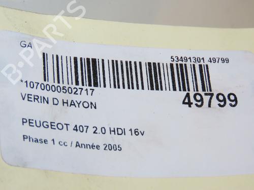 Tailgate lift support PEUGEOT 407 SW (6E_, 6D_) 2.0 HDi 135 | BP18953714C138 