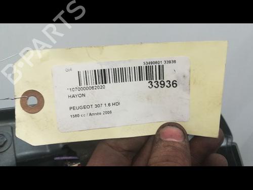 Tailgate PEUGEOT 307 (3A/C) 1.6 HDi | BP9595100C6 