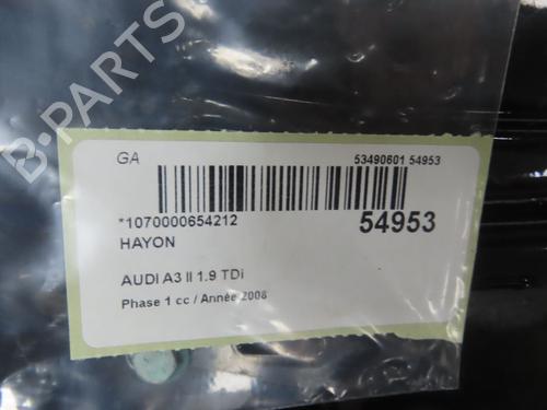 Used Tailgate AUDI A3 (8P1) 1.9 TDI (105 hp) 31121057