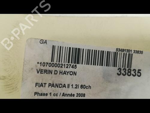 Tailgate lift support FIAT PANDA (169_) 1.2 (169.AXB11, 169.AXB1A) | BP14879599C138 