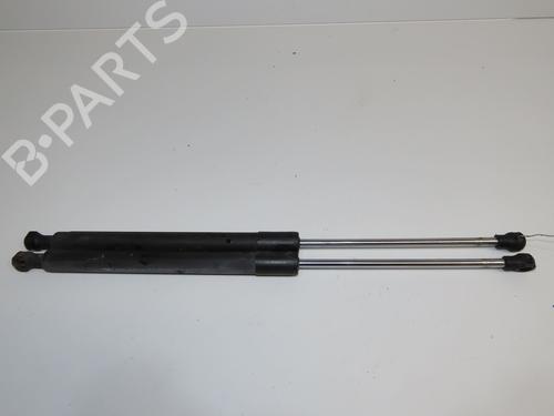 tailgate-lift-support-renault-clio-iii-br01-cr01-2005-2006-2007-2008-2009-2010-2011-2012-2013-2014-32691201 main image