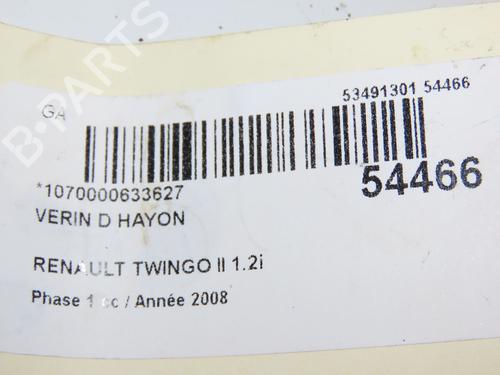 Tailgate lift support RENAULT TWINGO II (CN0_) 1.2 (CN0D) | BP29441816C138 
