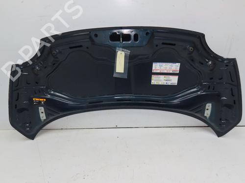 Hood FIAT 500 (312_) 1.2 (312AXA1A) | BP28968383C1 