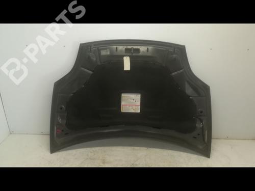 Hood FIAT BRAVO II (198_) 1.9 D Multijet (198AXB1A) | BP9600160C1 