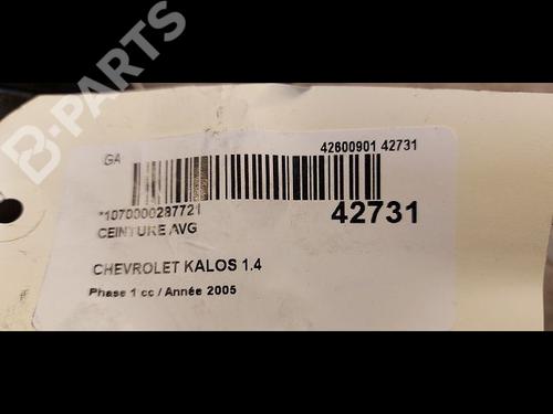 Front left belt tensioner CHEVROLET AVEO / KALOS Hatchback (T200) 1.4 | BP9615119C87 
