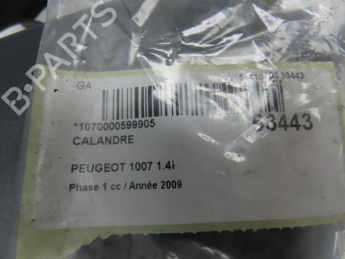 Used Grille Grille PEUGEOT 1007 (KM_) 1.4 (75 hp) 33444916 33444916