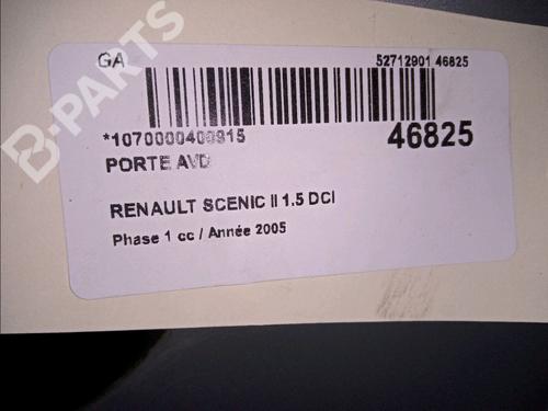 Right front door RENAULT SCÉNIC II (JM0/1_) 1.5 dCi (JM02, JM13) | BP11976486C3 