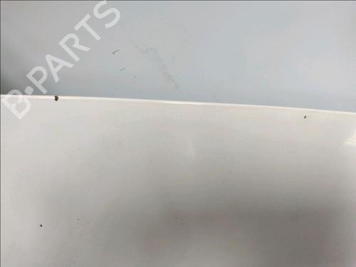 Hood CITROËN NEMO Box Body/MPV (AA_) 1.3 HDi 75 | BP19170736C1 