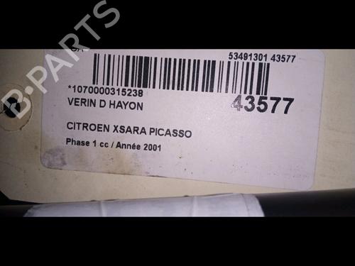 Tailgate lift support CITROËN XSARA PICASSO (N68) 2.0 HDi | BP14880091C138 