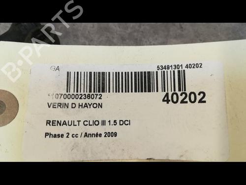 Tailgate lift support RENAULT CLIO III (BR0/1, CR0/1) 1.5 dCi (C/BR0G, C/BR1G) | BP14879923C138 