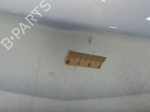 Tailgate RENAULT MEGANE II (BM0/1_, CM0/1_) 1.5 dCi (BM02, BM13, BM2A, CM02, CM13) | BP28969228C6 