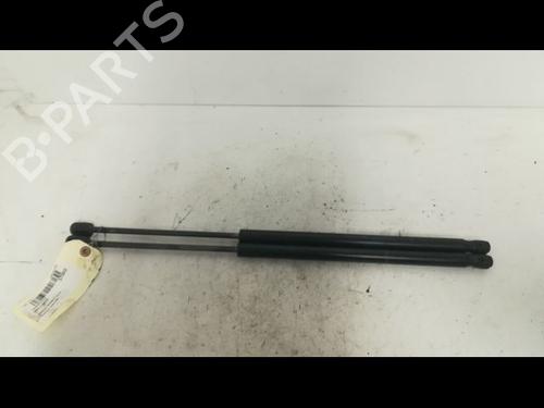 Used Tailgate lift support RENAULT SCÉNIC II (JM0/1_) 1.5 dCi (JM1E, JM16) (106 hp) 14879715