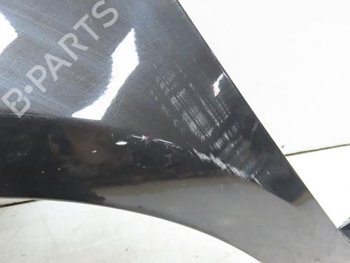 Left front fenders RENAULT CLIO III (BR0/1, CR0/1) 1.5 dCi | BP29196003C41 