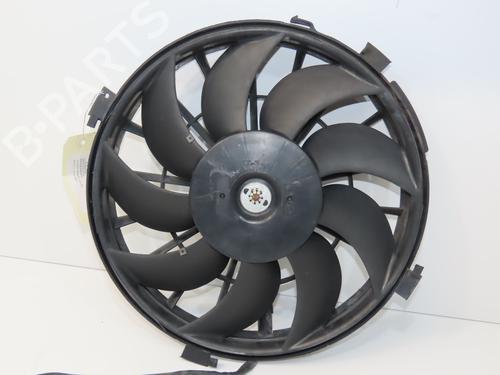 Used Radiator fan PEUGEOT EXPERT Van (222) 2.0 HDI (94 hp) 31120105