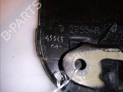 Fuel flap DACIA SANDERO 1.5 dCi | BP23171394C131