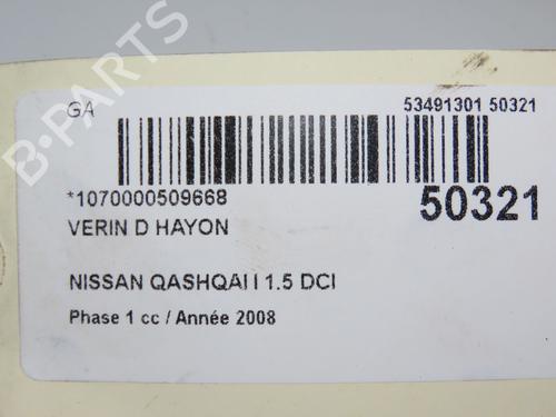 Tailgate lift support NISSAN QASHQAI / QASHQAI +2 I (J10, NJ10, JJ10E) 1.5 dCi | BP18913174C138 
