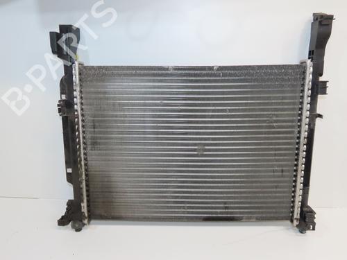 Water radiator RENAULT KANGOO Express (FW0/1_) Z.E. (FW0Z, FW1Z) | BP36493485M31 - Image 2